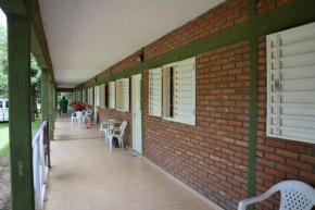 Los nidos 3